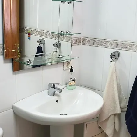 Begonia Tamaimo